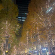 ヒメ日記 2025/11/25 01:09 投稿 らら みつばちマーヤZ