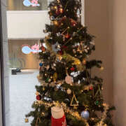 ヒメ日記 2025/11/26 19:02 投稿 らら みつばちマーヤZ