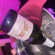 ヒメ日記 2025/12/12 00:22 投稿 らら みつばちマーヤZ