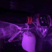 ヒメ日記 2025/12/20 01:34 投稿 らら みつばちマーヤZ