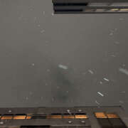 ヒメ日記 2026/01/22 00:07 投稿 らら みつばちマーヤZ