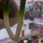 ヒメ日記 2026/01/23 00:42 投稿 らら みつばちマーヤZ