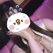 ヒメ日記 2026/02/03 20:54 投稿 らら みつばちマーヤZ