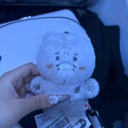 ヒメ日記 2026/03/08 21:22 投稿 らら みつばちマーヤZ