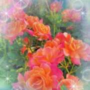 ヒメ日記 2025/07/27 23:00 投稿 らな ドッチパイモミ 越谷店