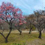 ヒメ日記 2025/03/04 17:50 投稿 ちづる 即トク奥さん