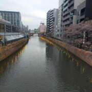 ヒメ日記 2025/03/13 17:50 投稿 ちづる 即トク奥さん