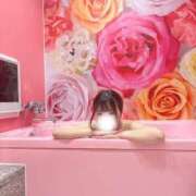 ヒメ日記 2025/12/22 01:08 投稿 めあり 密着指導！バカンス学園 尼崎校