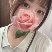 ヒメ日記 2025/07/29 13:33 投稿 ねね スピードエコ梅田店