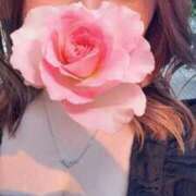 ヒメ日記 2025/09/19 02:18 投稿 ねね スピードエコ梅田店