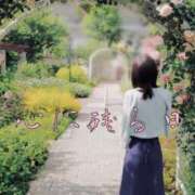 ヒメ日記 2025/06/01 07:43 投稿 藤枝 香澄 東京貴楼館