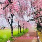 ヒメ日記 2026/04/02 19:49 投稿 藤枝 香澄 東京貴楼館