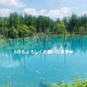 ヒメ日記 2026/05/31 20:53 投稿 藤枝 香澄 東京貴楼館