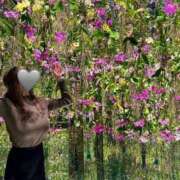 ヒメ日記 2025/06/25 10:52 投稿 ひなた オペラ(吉原)