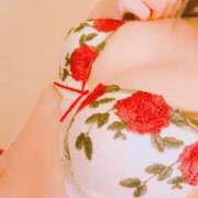 ヒメ日記 2025/07/16 15:07 投稿 ちえ ロイヤル土佐