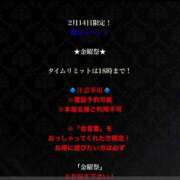 ヒメ日記 2025/02/14 15:59 投稿 ひな ロイヤル土佐