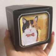 ヒメ日記 2025/09/22 13:12 投稿 風野きこ ハプニング痴漢電車or全裸入室