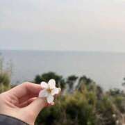 小野田める あしたも！ 全裸の極みorドッキング痴漢電車