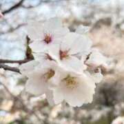 小野田める あしたも！ 全裸の極みorドッキング痴漢電車