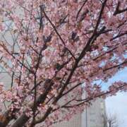 ヒメ日記 2025/05/01 16:27 投稿 あみる 黒い金魚（札幌）