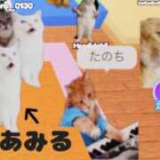 ヒメ日記 2025/05/12 19:47 投稿 あみる 黒い金魚（札幌）