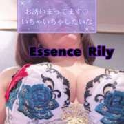 ヒメ日記 2026/02/05 11:26 投稿 NewWorldだ『リリー』 ESSENCE