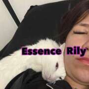 ヒメ日記 2026/03/02 15:33 投稿 NewWorldだ『リリー』 ESSENCE