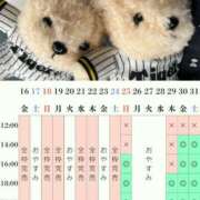 ヒメ日記 2025/05/24 15:35 投稿 愛梨 オペラ(吉原)