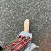 ヒメ日記 2026/01/23 09:28 投稿 仁美（ひとみ） PLUS十三店