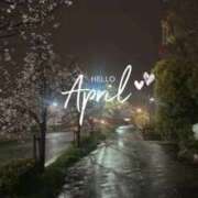 ヒメ日記 2026/04/01 23:38 投稿 仁美（ひとみ） PLUS十三店