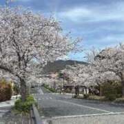 ヒメ日記 2026/04/06 10:38 投稿 仁美（ひとみ） PLUS十三店