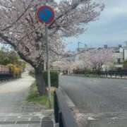 ヒメ日記 2026/04/07 15:28 投稿 仁美（ひとみ） PLUS十三店