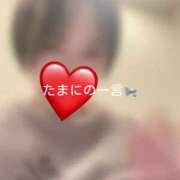 ヒメ日記 2025/04/22 19:05 投稿 神城　さら ドMな奥様 すすきの店