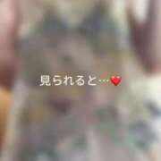 ヒメ日記 2025/07/12 12:07 投稿 神城　さら ドMな奥様 すすきの店