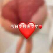 ヒメ日記 2025/11/26 11:45 投稿 神城　さら ドMな奥様 すすきの店