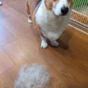 ヒメ日記 2025/12/31 09:28 投稿 神城　さら ドMな奥様 すすきの店