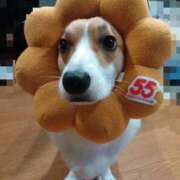 ヒメ日記 2025/12/31 19:06 投稿 神城　さら ドMな奥様 すすきの店