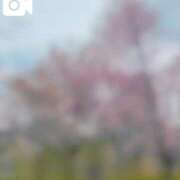 ヒメ日記 2026/02/01 09:16 投稿 神城　さら ドMな奥様 すすきの店