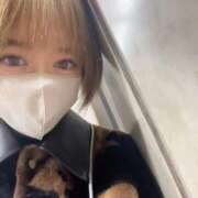 ヒメ日記 2026/03/06 12:56 投稿 神城　さら ドMな奥様 すすきの店