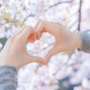 ヒメ日記 2026/04/10 14:19 投稿 やえ エスペランサ新館