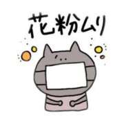 ヒメ日記 2025/03/12 00:21 投稿 (スタン)大和田のだめ/地元出身 風俗イキタイいわき店