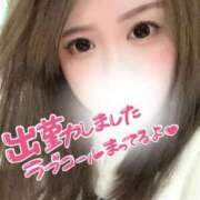 ヒメ日記 2025/12/12 21:31 投稿 (スタン)大和田のだめ/地元出身 風俗イキタイいわき店