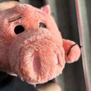 ヒメ日記 2025/04/08 12:46 投稿 くれは お姉さんSelect