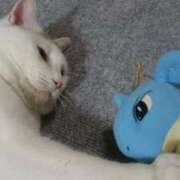 ヒメ日記 2025/05/27 08:23 投稿 くれは お姉さんSelect