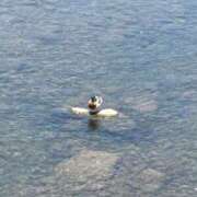 ヒメ日記 2025/06/09 12:46 投稿 くれは お姉さんSelect