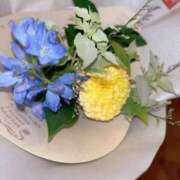 ヒメ日記 2025/07/05 13:08 投稿 くれは お姉さんSelect