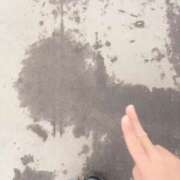 ヒメ日記 2025/08/07 12:06 投稿 くれは お姉さんSelect