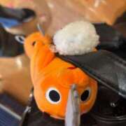 ヒメ日記 2025/09/29 14:20 投稿 くれは お姉さんSelect