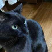 ヒメ日記 2025/12/12 12:26 投稿 くれは お姉さんSelect