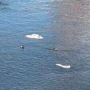 ヒメ日記 2025/12/31 13:04 投稿 くれは お姉さんSelect